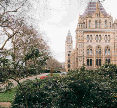 Five Benefits of Investing in Property in South Kensington