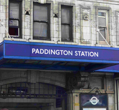 Spotlight on Paddington Gardens? 5 Things to Know